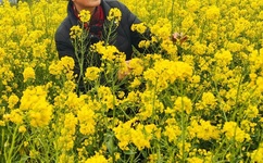 国产色情乱码久久久久一区二区